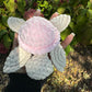 PiNKx Crochet Turtlex